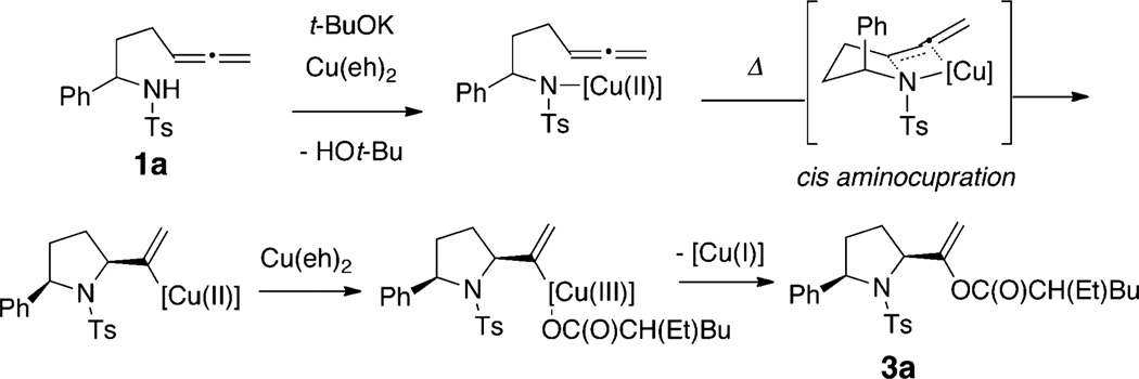 Scheme 3