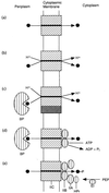 FIG. 3