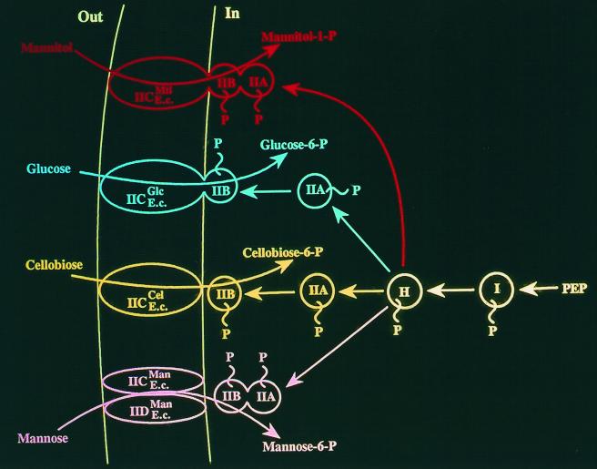 FIG. 8