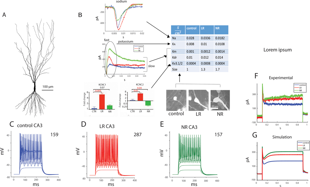 Figure 2.