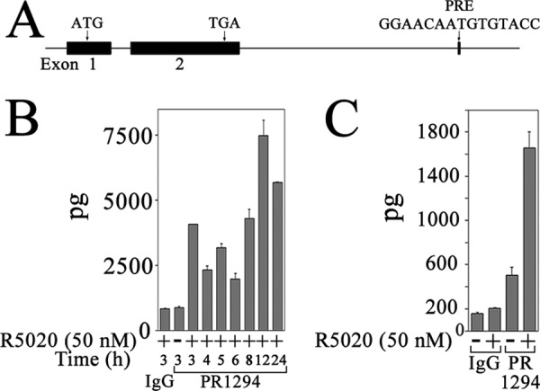 FIGURE 7.