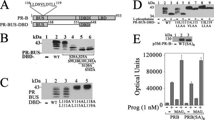 FIGURE 12.