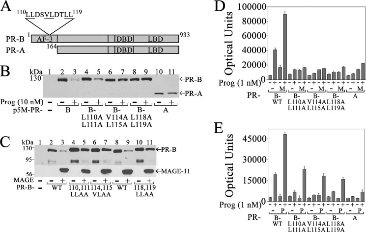 FIGURE 10.