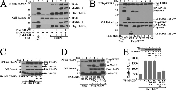 FIGURE 13.