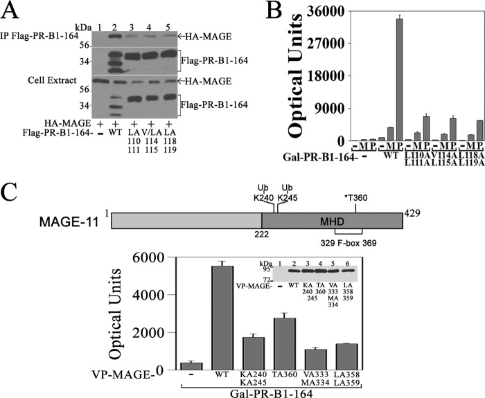 FIGURE 11.