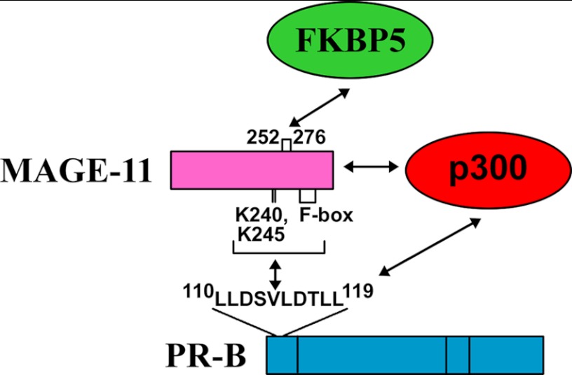 FIGURE 14.