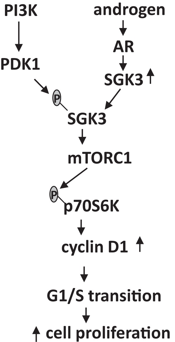 Figure 8.