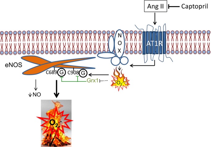 Figure 6.