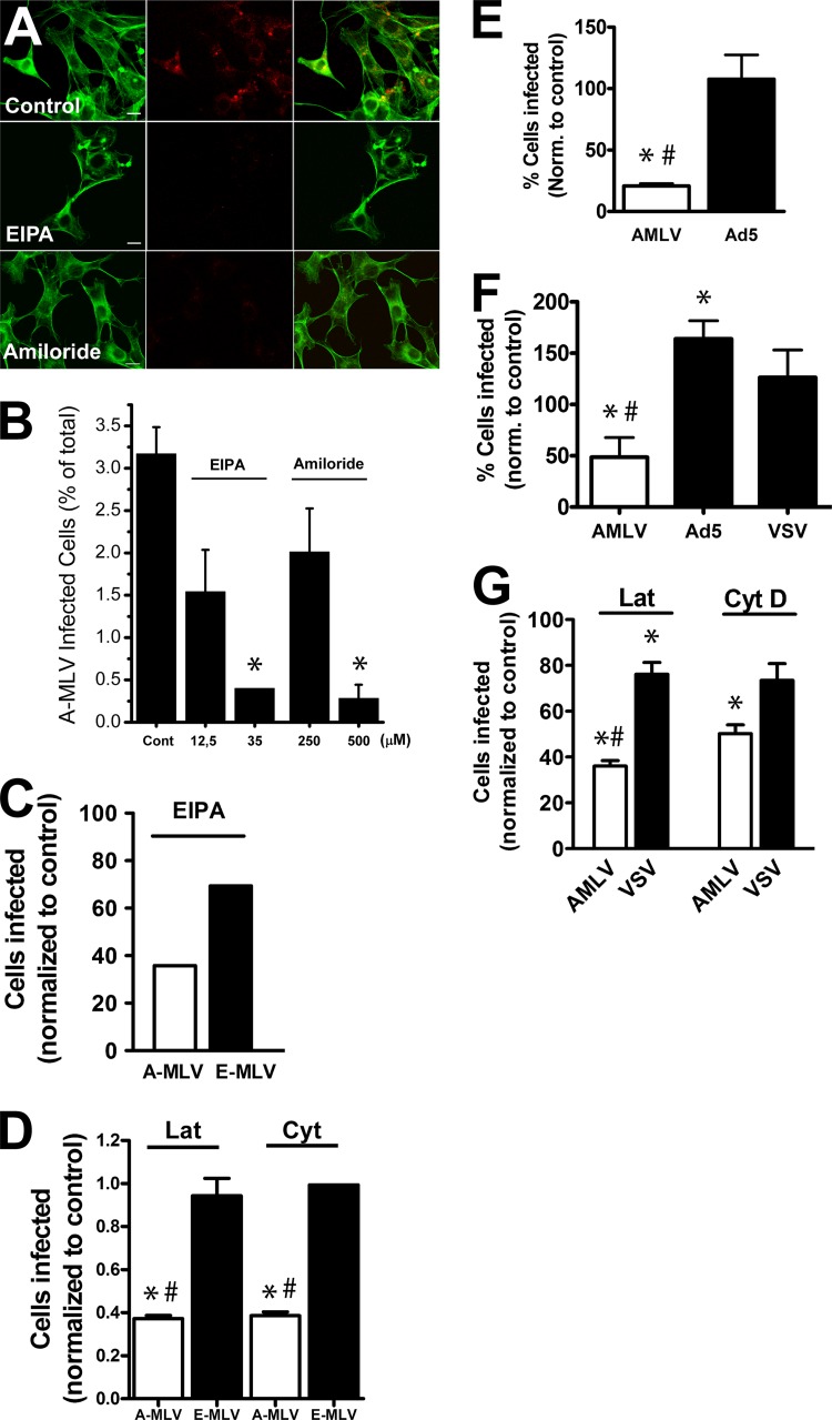 FIG 6