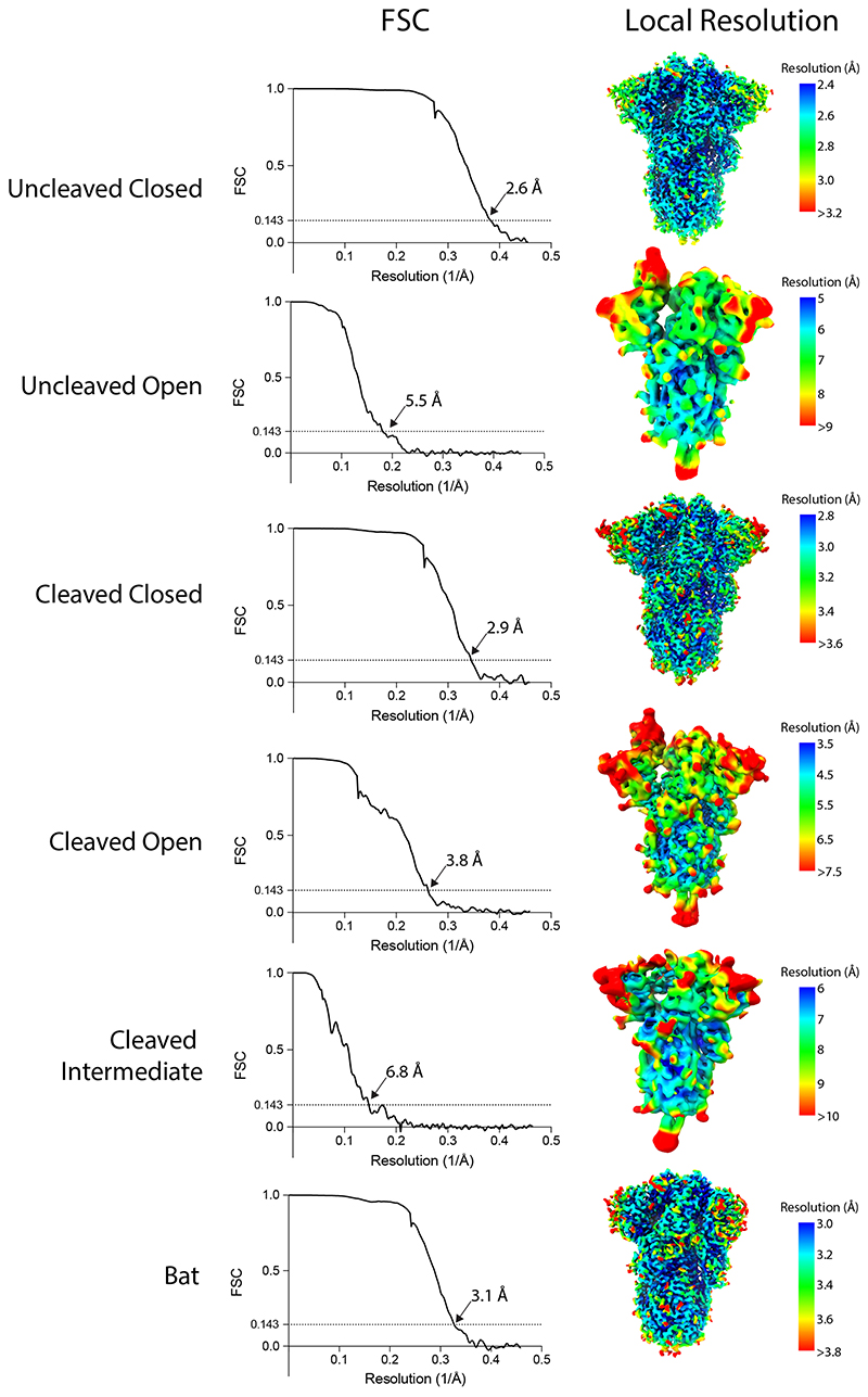 Extended Data Fig. 5