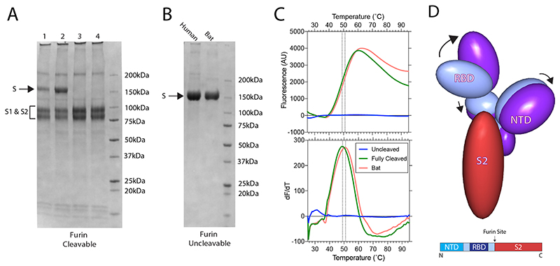 Extended Data Fig. 1