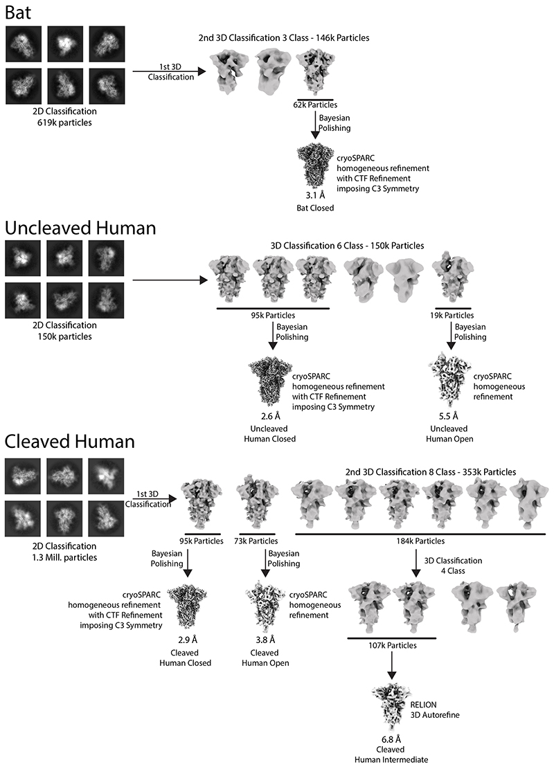 Extended Data Fig. 4