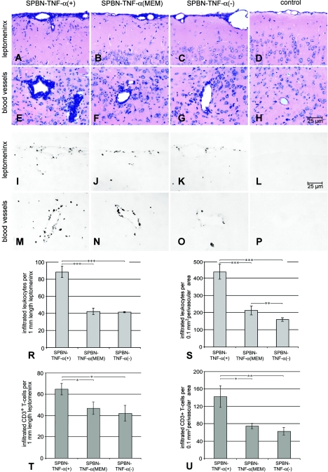 FIG.7.