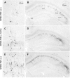 FIG. 6.