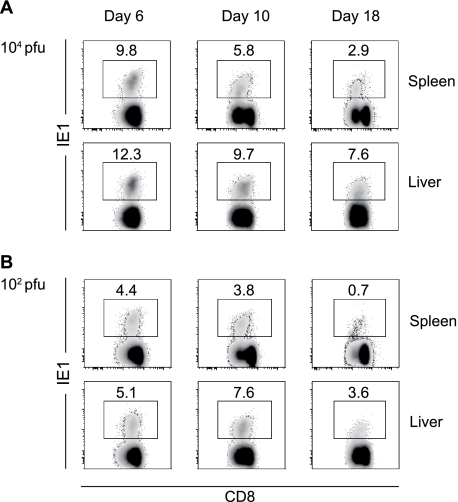 FIG. 2.