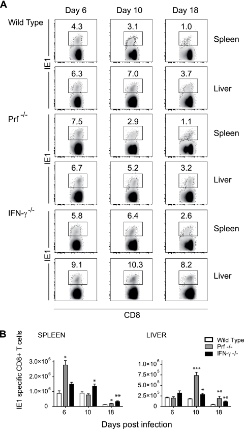 FIG. 5.