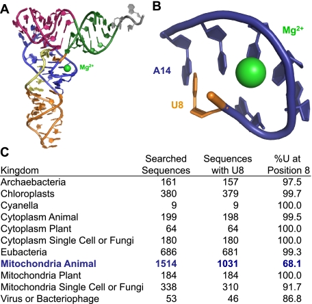 FIGURE 10.