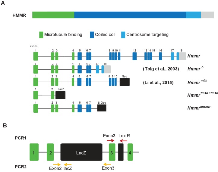 Figure 1—figure supplement 1.