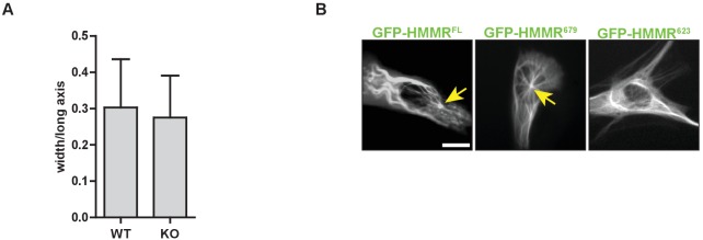 Figure 3—figure supplement 1.