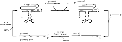 Fig. 1.