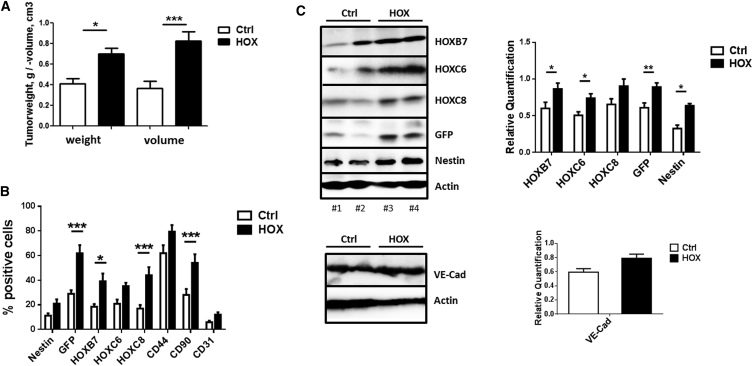 Figure 6