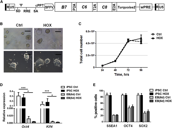 Figure 2