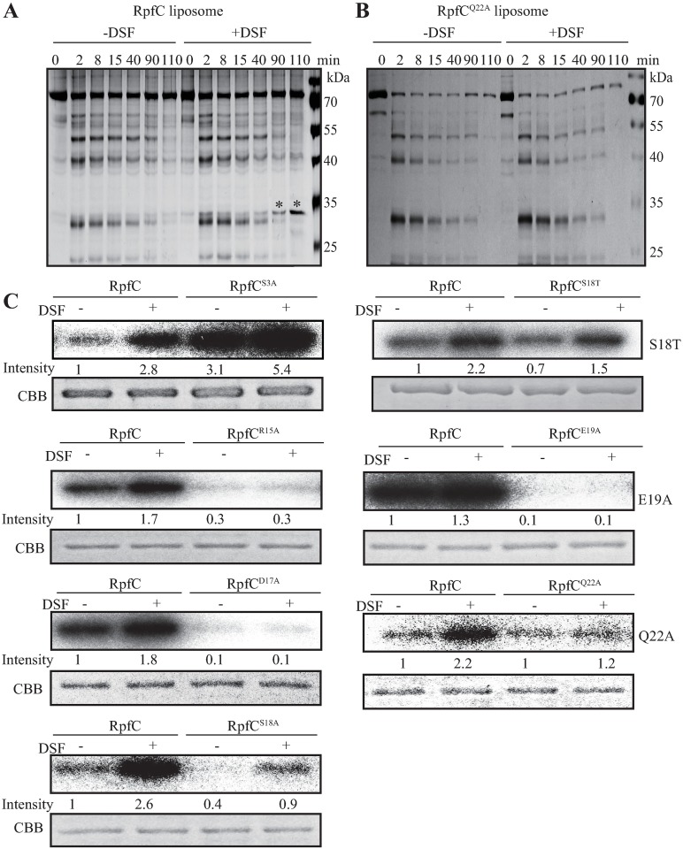 Fig 7