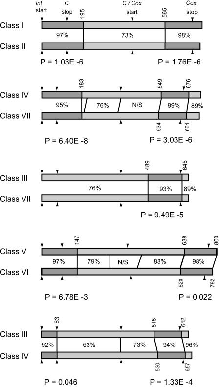 FIG. 6.