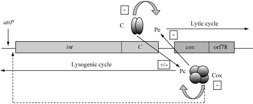 FIG. 1.