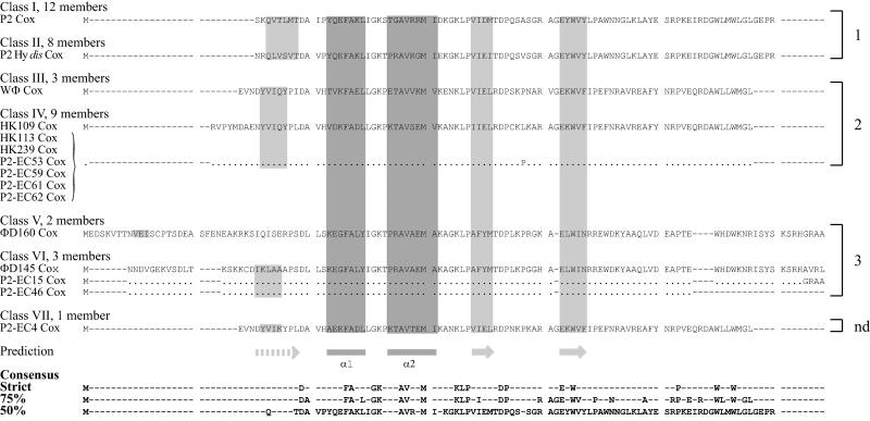 FIG. 5.