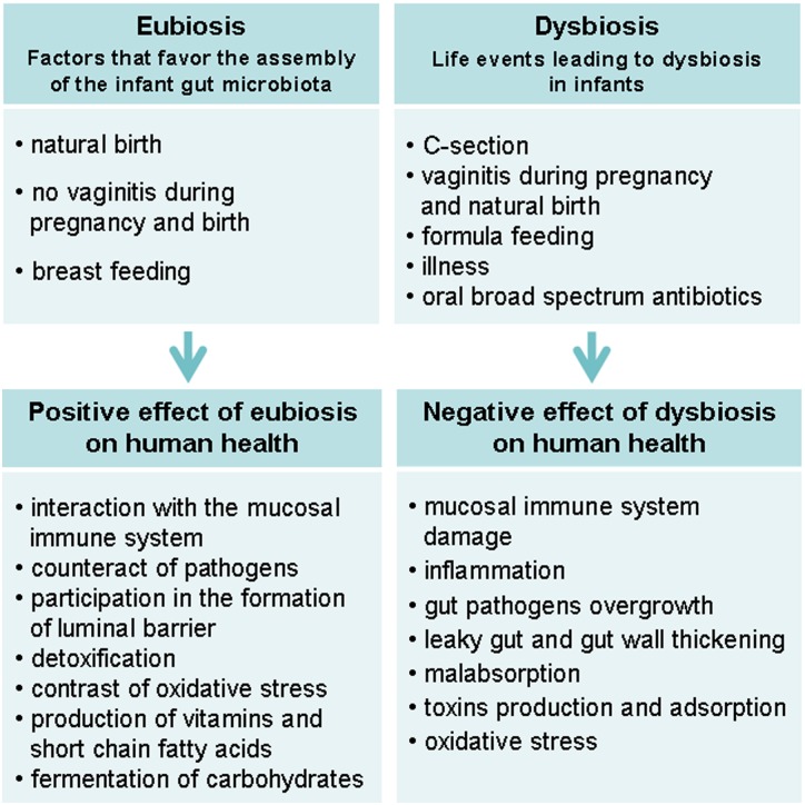 Figure 2 