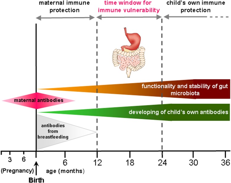 Figure 3 