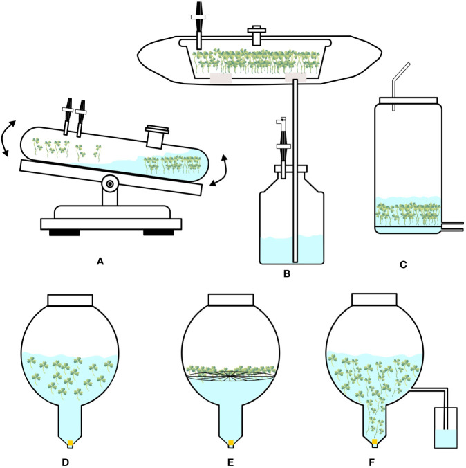 Figure 2