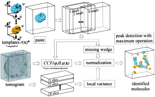 Fig 1.