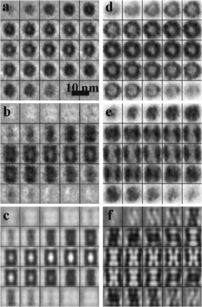 Fig 5.