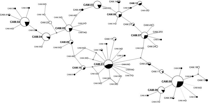 Figure 2.