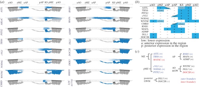 Figure 6.