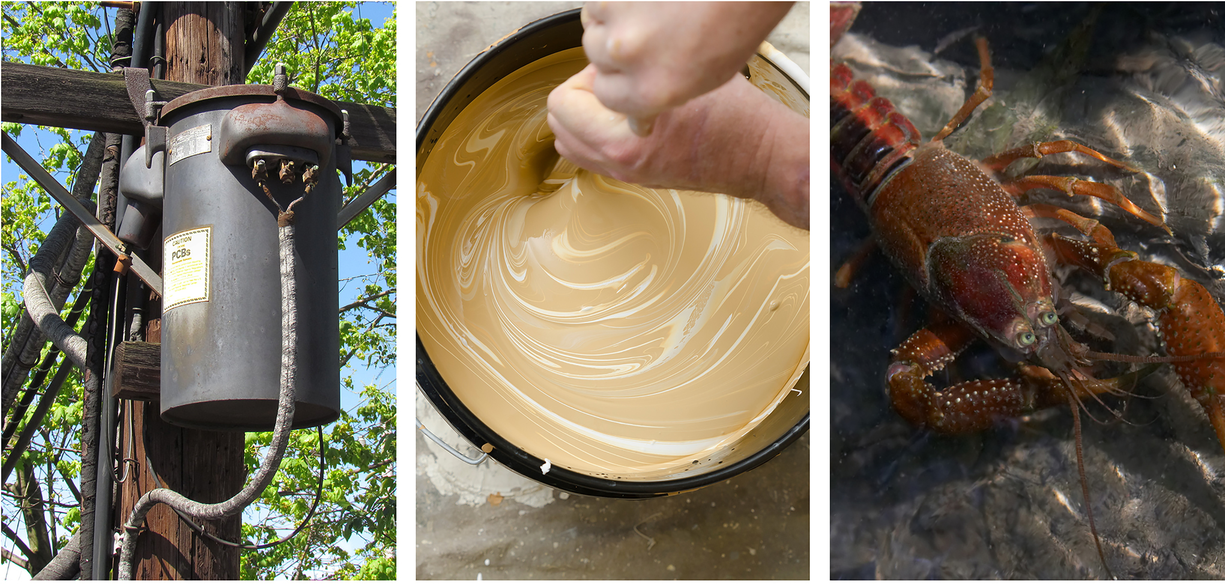 A photo collage, from left to right, of an old electrical transformer, a painter mixing paint, and a crawfish on a riverbed