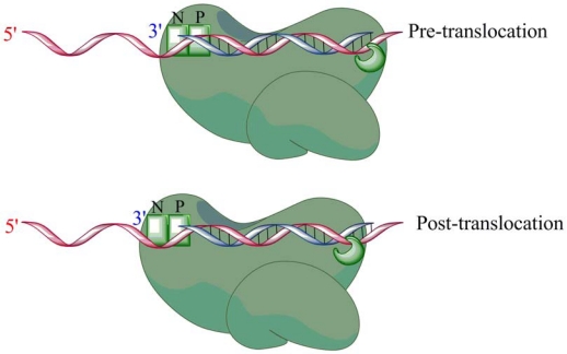 Figure 5.