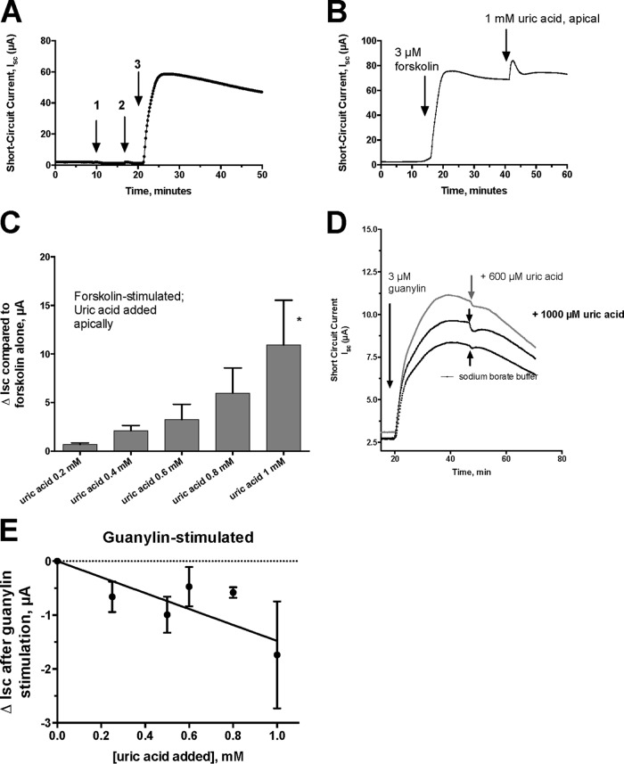 FIG 2