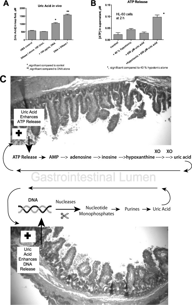 FIG 6