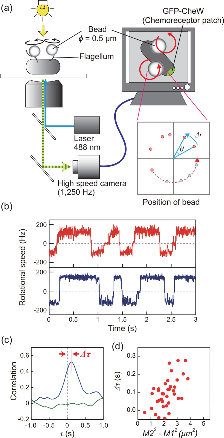 Figure 2.