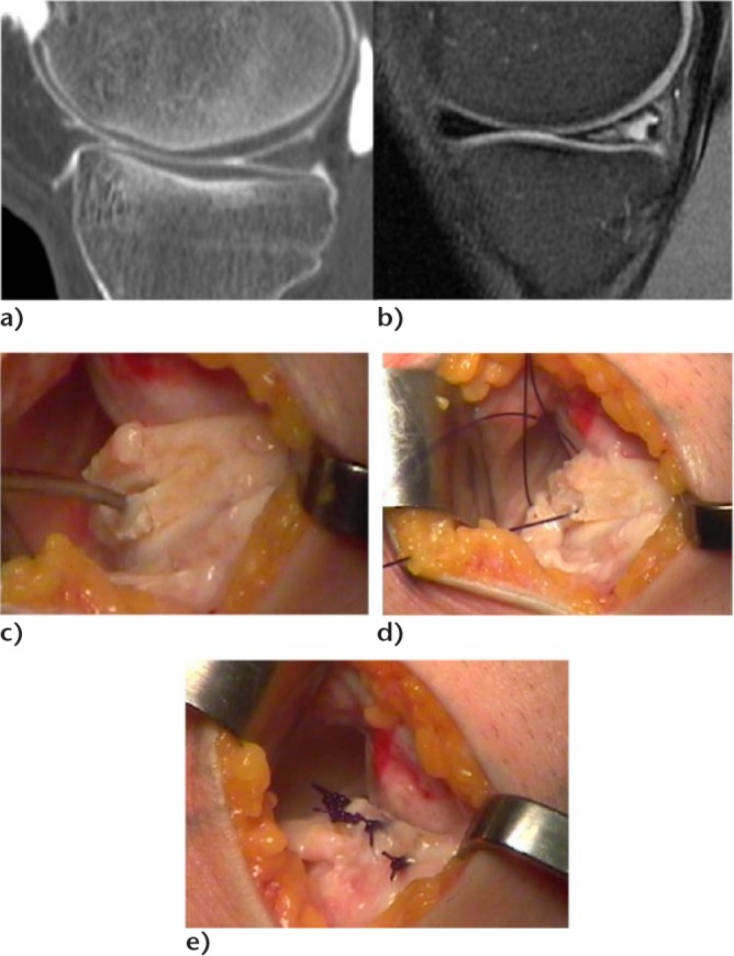 Fig. 5