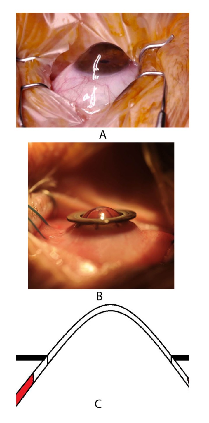 Fig. (10)