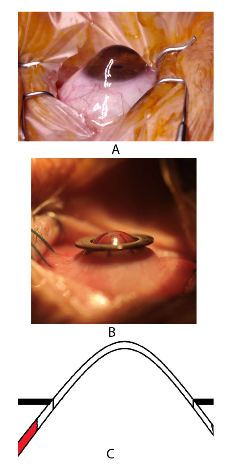 Fig. (9)