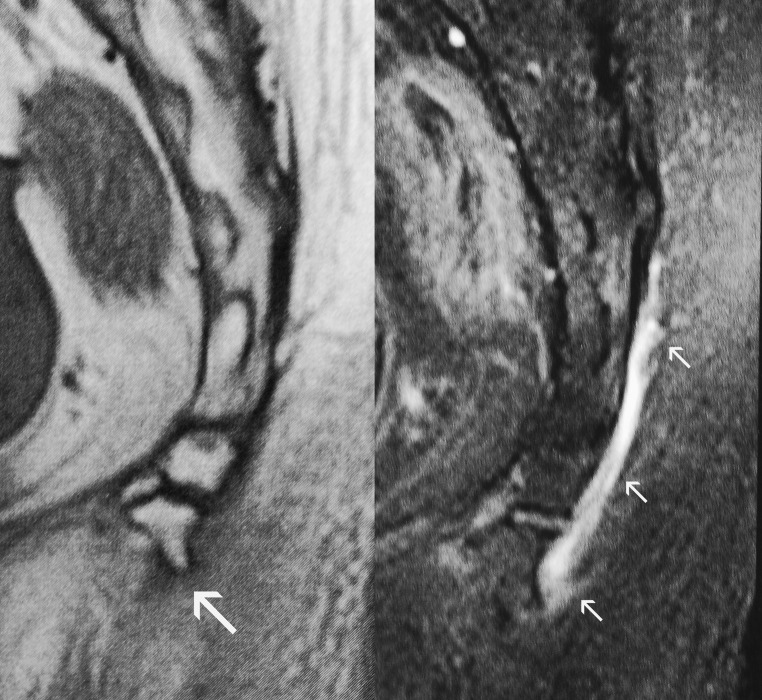 Fig. 7