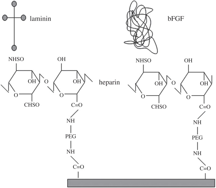 Figure 5.