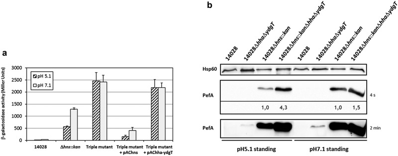 Figure 6.