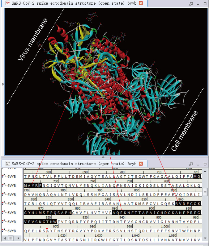 Fig. 3