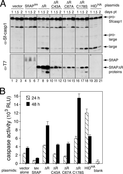 FIG. 6.